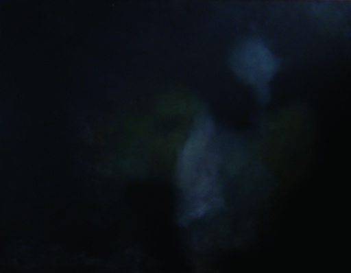 Untitled 6